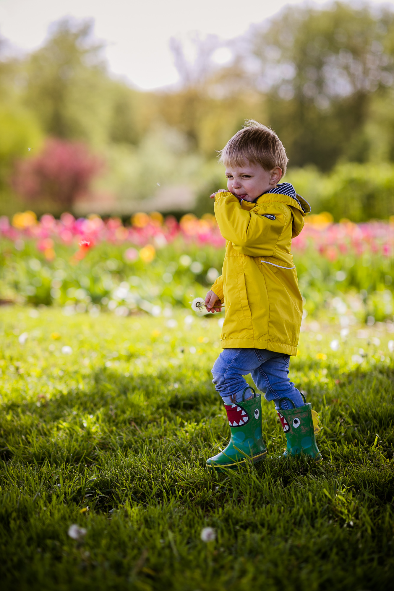 Export x3 1DX28277 Familienfotoshooting 2019 Hefti
